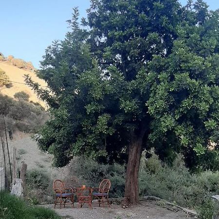 Karampinis Guest House Kali Limenes Bagian luar foto